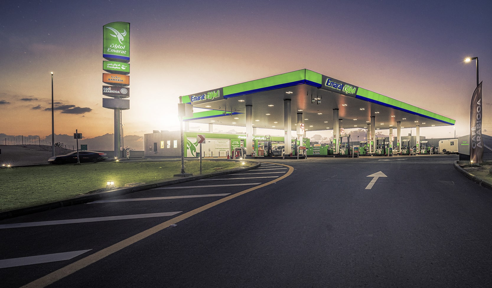 Terms and Conditions