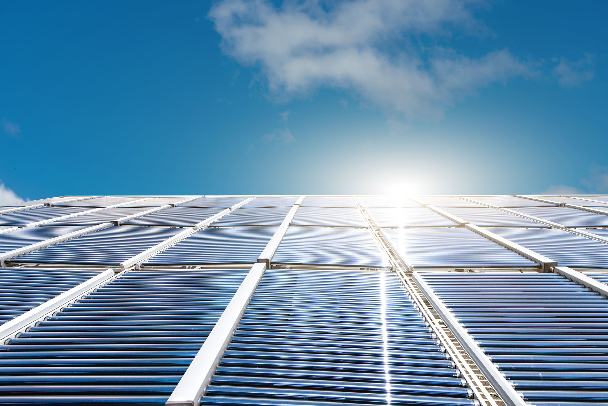 Shutterstock 1166355280